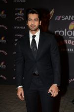 Arjan Bajwa at the red carpet of Stardust awards on 21st Dec 2015